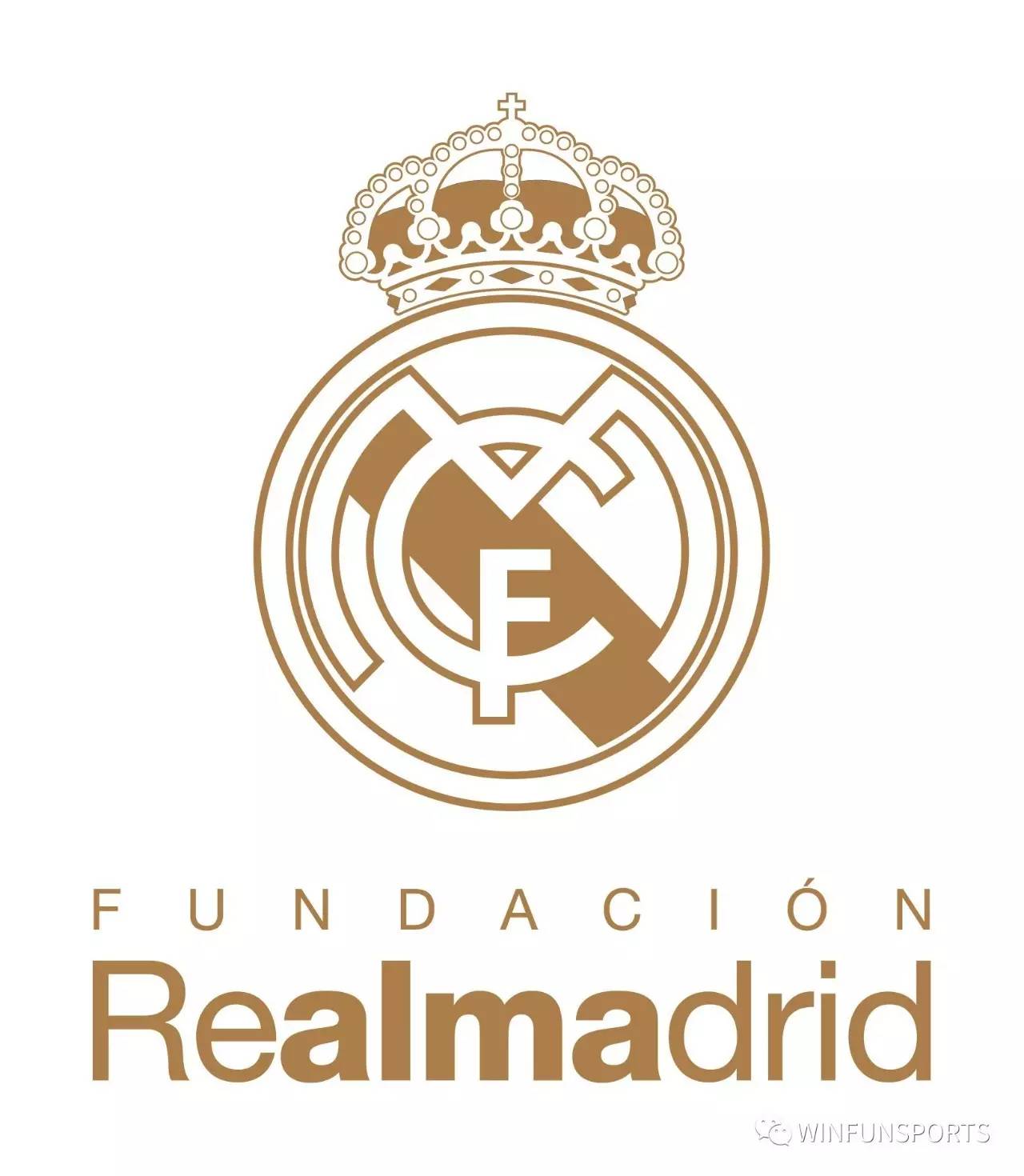 樊振东在德 樊振东在德